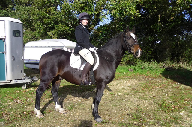 Horse, rider, box and caravan