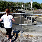 ‘Love your Loo’? Lifting the Lid in Wincanton