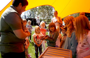 Bugfest at the SSDC Play Day in Wincanton