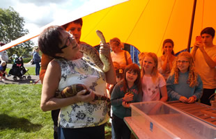 Bugfest at the SSDC Play Day in Wincanton