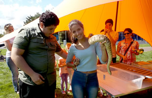 Bugfest at the SSDC Play Day in Wincanton