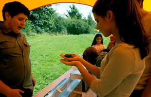 Bugfest at the SSDC Play Day in Wincanton