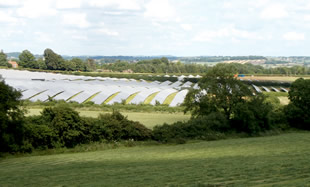 Solar arrays. Blades, perhaps. That's a funky tech term people use.