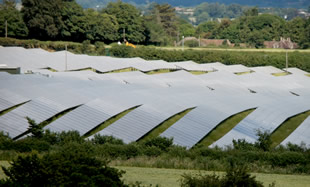 A closer view of the individual solar blades.