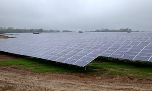 Face to face with the solar field