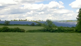 The massive solar farm occupies several fields