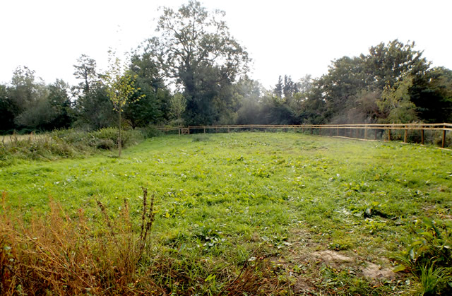 Cale Park wild flower meadow site