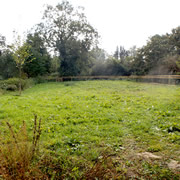 Sowing the Seeds for a Wild Flower Meadow in Cale Park