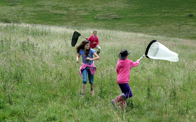 Butterfly catching at Pevlings Farm Riding and Livery Stables