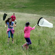 Busy Summer Holiday at Pevlings Farm Riding Stables