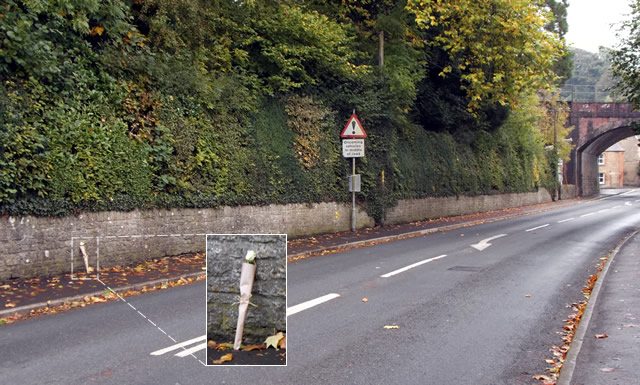 Flowers mark the spot on Cole Road, Bruton, where a local elderly man was hit and killed by a passing car.