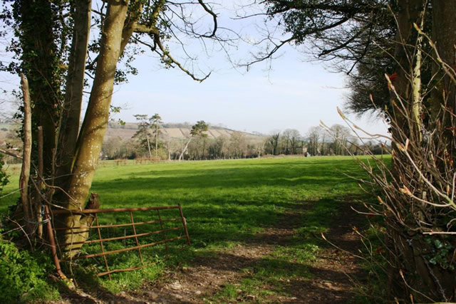 Windmill Farm field, marked for development