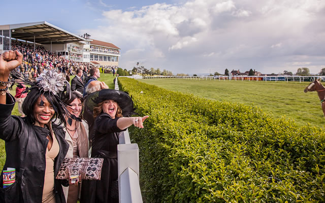 Cheering the race at Wincanton Racecourse