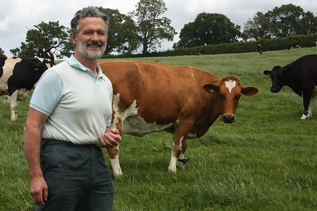 George Keen with his cows in the field