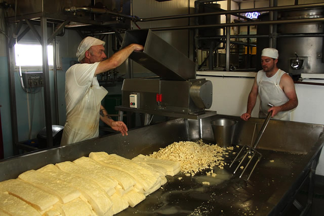 Dicing the curds