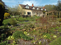 Snape Cottage gardens - 1