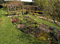 Snape Cottage gardens - 3