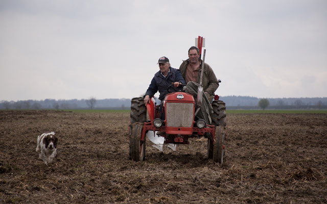 Ploughing match at Lower Zeals, near Mere