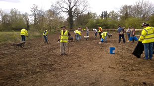 Prepairing the soil for sowing