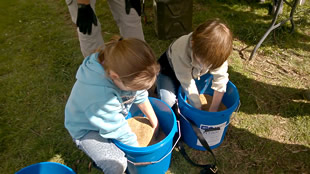 Mixing the seeds with sand to get an even spread