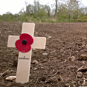 The Sowing of Cale Park’s Memorial Meadow <small style='color: red;'>VIDEO</small>