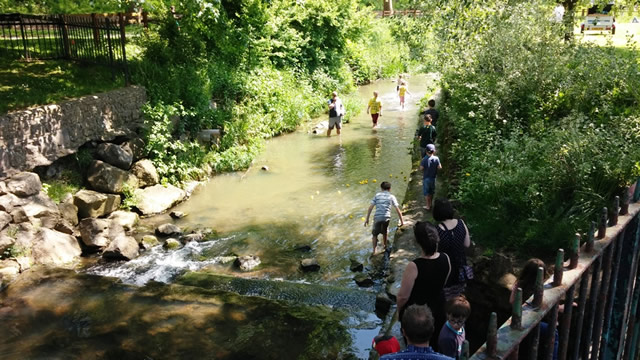 Wincanton Duck Race 2014