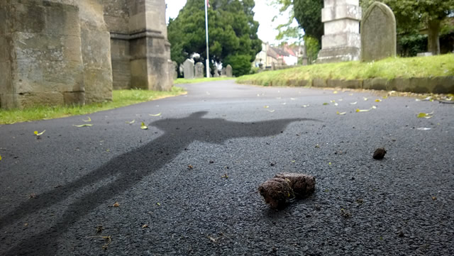 No Scooperhero on the Wincanton Parish Church grounds?