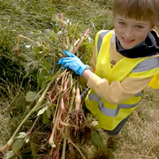 C.A.T.C.H. Action Day on Sunday 19th July – Balsam Bashing