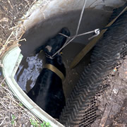 Fire Crew Rescues 400kg Cow from Cesspit in Templecombe