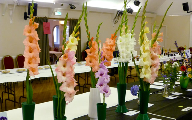 Wincanton Flower Show 2015