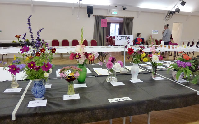 Wincanton Flower Show 2015