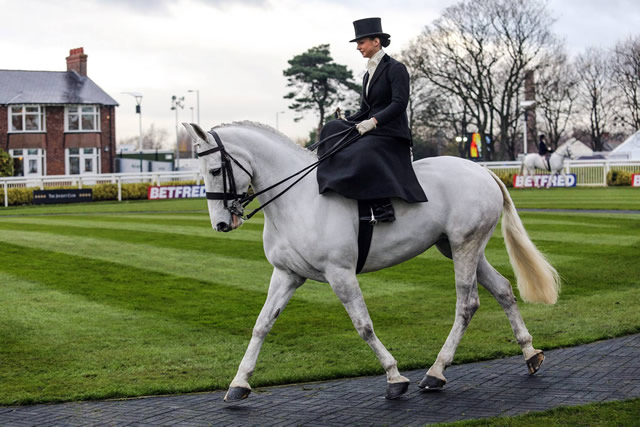 Side-saddle riding