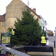 Switching On the Christmas Tree Lights