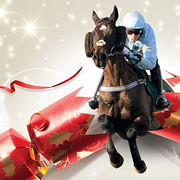 Christmas Party Day at Wincanton Racecourse