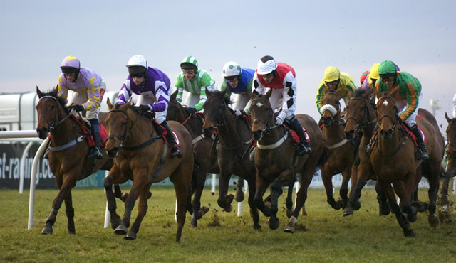 Wincanton horse racing