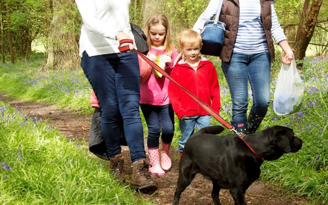 Dog walkers