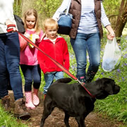 Hounds on the Hill Charity Walk