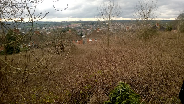 Scrub land off Ireson Lane, overlooking the town