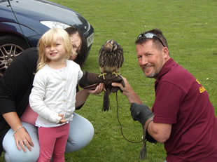 Hawk handling at Wincanton Play Day 11th August 2016