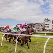 Combat Stress Families and Armed Forces Race Day