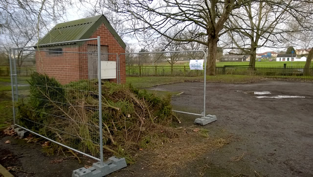 The Christmas tree recycling drop-zone at Cale Park, Wincanton