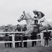 150 years of National Hunt racing at Wincanton Racecourse