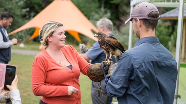 Bird of prey handling at Wincanton's 2018 Play Day