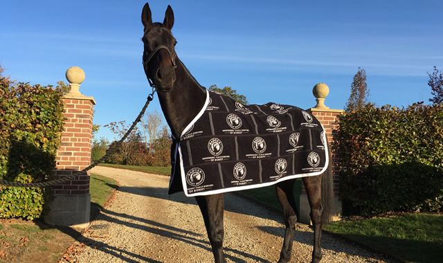 Badger Ales beer mat horse rug and Present Man