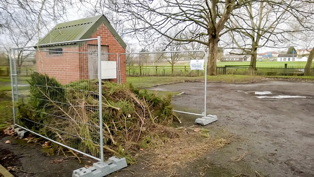 Christmas tree recycling collection point, Cale Park, Wincanton