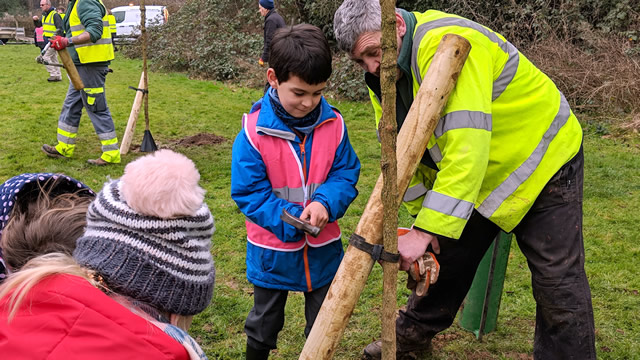 A pupil from Our Lady of Mount Carmel Primary School hammering in a nail to fasten the stake strap