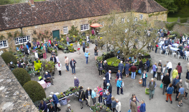 Yarlington House Plant Fair 2016