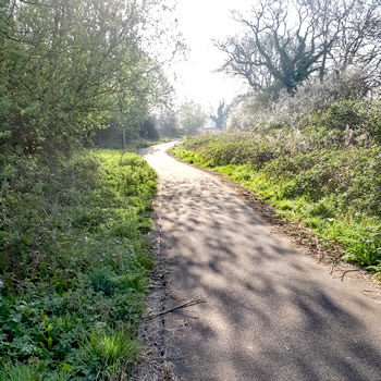 Exercise, COVID-19 and Wincanton Sports Ground