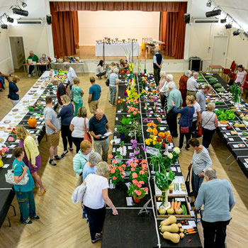 Wincanton Flower Show 2020 is cancelled