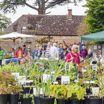 Specialist Plant Fair at Yarlington House